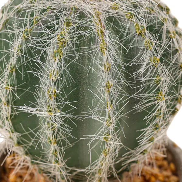 Искусственное растение в горшке Dream River Кактус 15 см