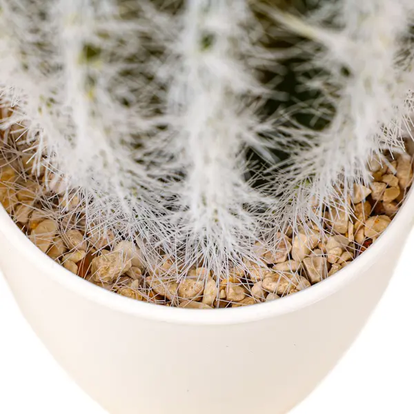 Искусственное растение в горшке Dream River Кактус 17.5 см