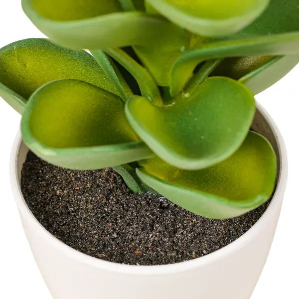 Искусственное растение в горшке Dream River Суккулента 18.5 см