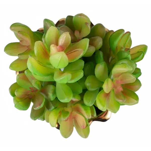 Искусственное растение ø8 см h16 см керамика цвет золотисто-зеленый