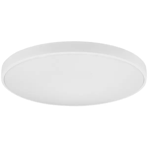 Светильник настенно-потолочный светодиодный Leek 24 Вт круг IP65 нейтральный белый свет