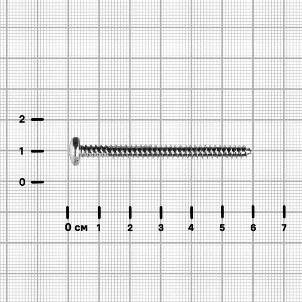 Саморезы универсальные полусферические острые оцинкованные 5x60 на вес