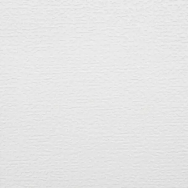 Обои под покраску флизелиновые антивандальные Erismann Defender Рогожка белые 1.06x10 м 103г/м² ЭР2916-1
