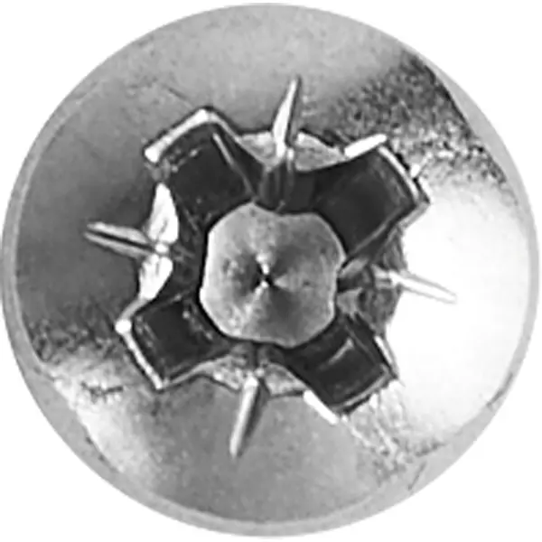 Саморезы универсальные полусферические острые нержавеющая сталь 4x60 8 шт.