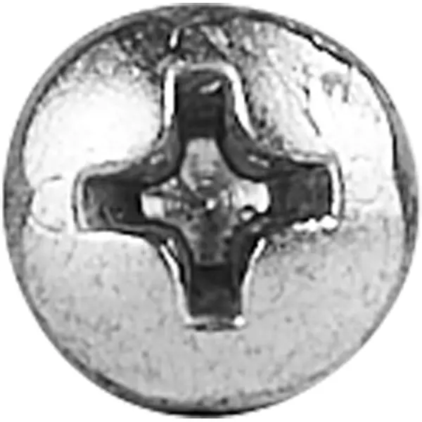 Саморезы универсальные полусферические острые оцинкованные 4x30 мм на вес