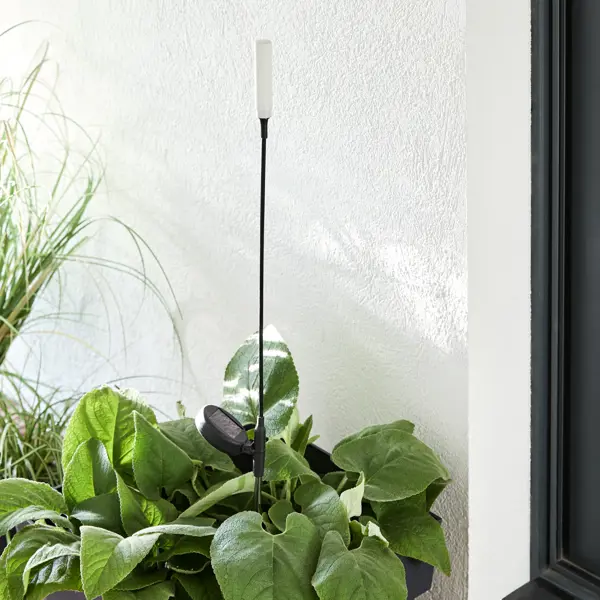 Садовая подсветка Inspire Inox на солнечных батареях 82 см, эффект колебания, цвет черный