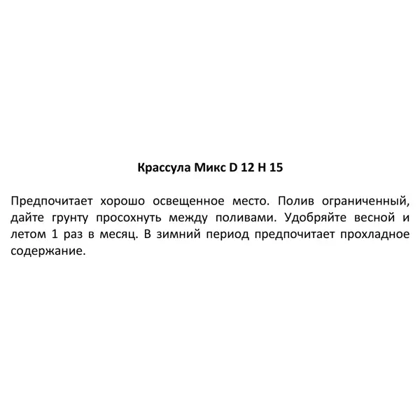 Крассула микс ø12 h15 см