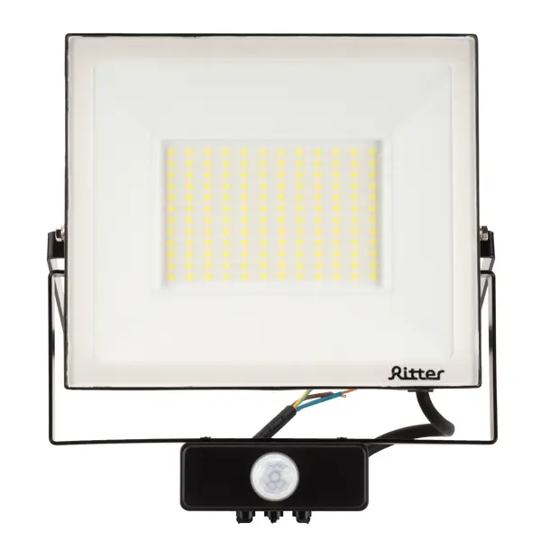 Прожектор светодиодный Ritter Profi 53424 6 100 Вт 10000 Лм 180-240 В с датчиком движения холодный свет 6500К IP65 черный