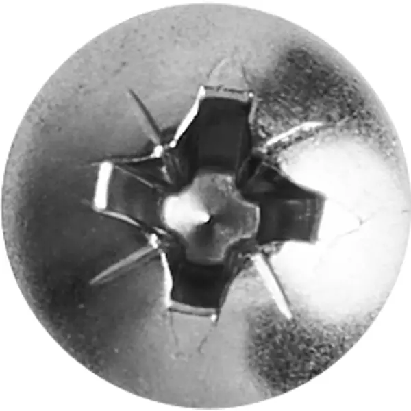 Саморезы универсальные полусферические острые нержавеющая сталь 5x70 4 шт.