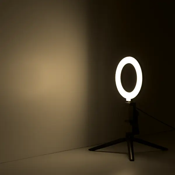 Светильник кольцевой светодиодный Gauss Ring Light Ø16 см с пультом управления
