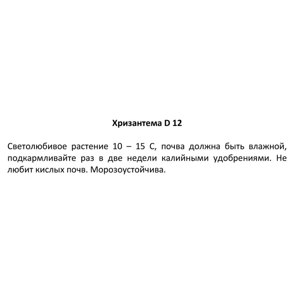 Хризантема ø12 h25 см