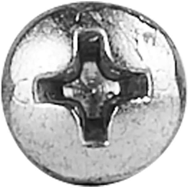 Саморезы универсальные полусферические острые оцинкованные 4x20 мм на вес