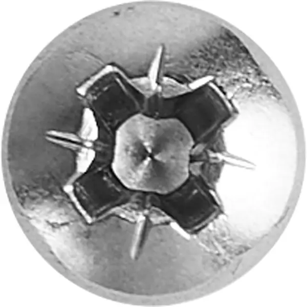 Саморезы универсальные полусферические острые нержавеющая сталь 4x20 24 шт.