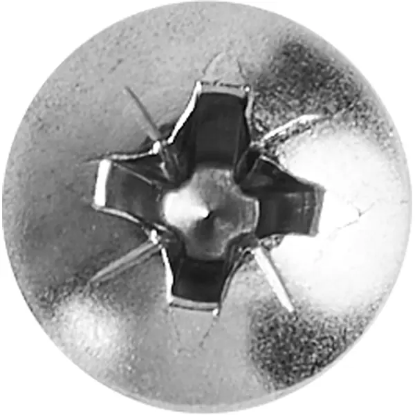 Саморезы универсальные полусферические острые нержавеющая сталь 5x40 12 шт.