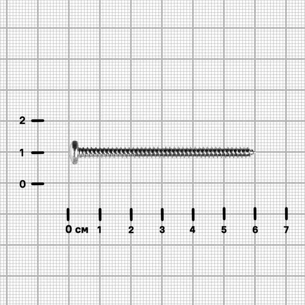 Саморезы универсальные полусферические острые оцинкованные 5x60 6 шт.