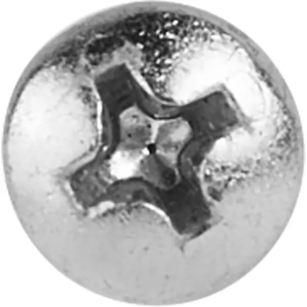 Саморезы универсальные полусферические острые оцинкованные 5x60 6 шт.